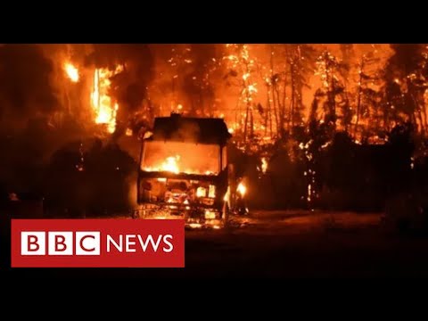 Greek island evacuated as wildfires rage in worst heatwave for 30 years – BBC News