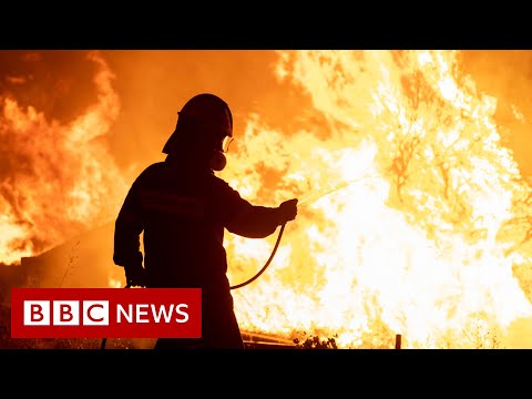 Residents in Greece forced to evacuate due to wildfires – BBC News