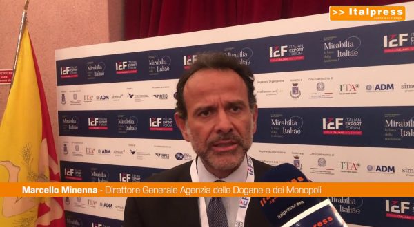 Dogane, Minenna: “Bisogna attuare idee e fare squadra”