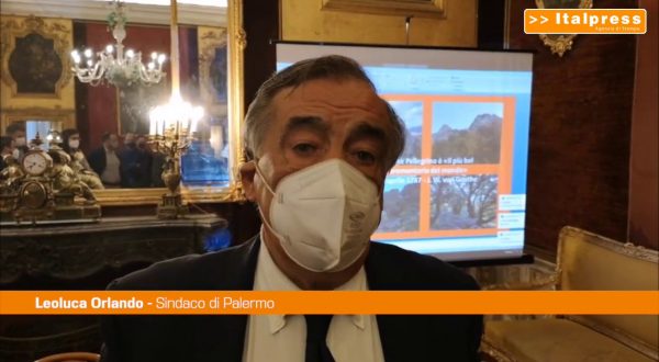 Palermo, un piano forestale per la tutela di Monte Pellegrino