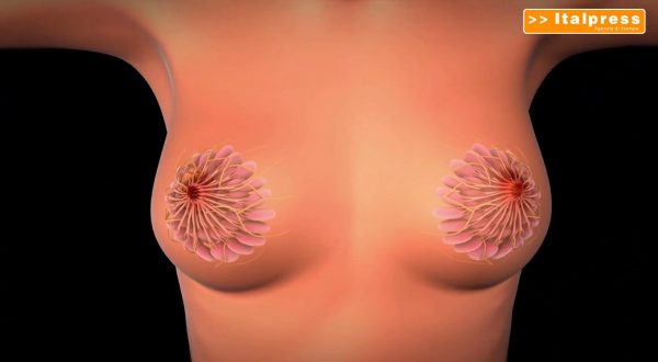 Tumore seno, in menopausa fino a 7-8 anni terapia anti-ormonale