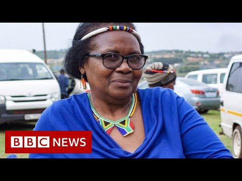 Record number of environmental activists murdered – BBC News