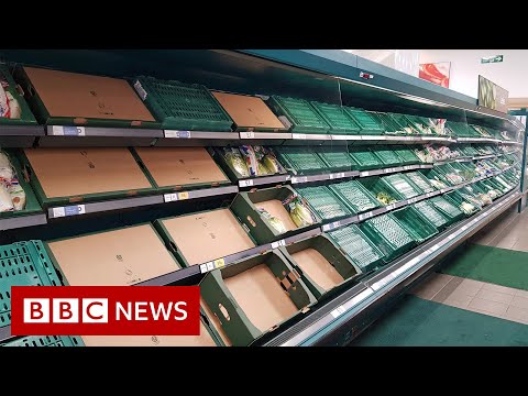 Is Brexit causing food and medicine supply problems in the UK? – BBC News