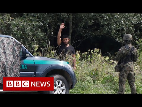 Poland ‘illegally’ pushed migrants back into Belarus – BBC News