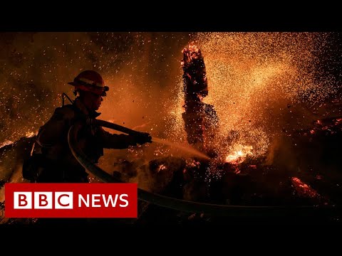 Weather disasters over past five decades ‘have increased five-fold’ – BBC News