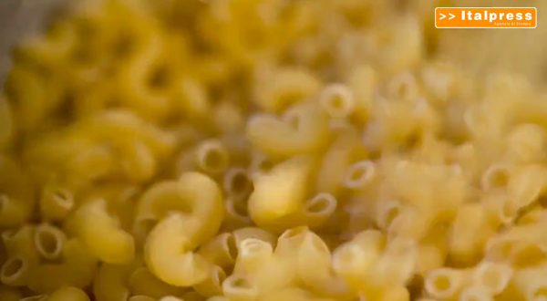 World Pasta Day, italiano 60% del grano duro utilizzato