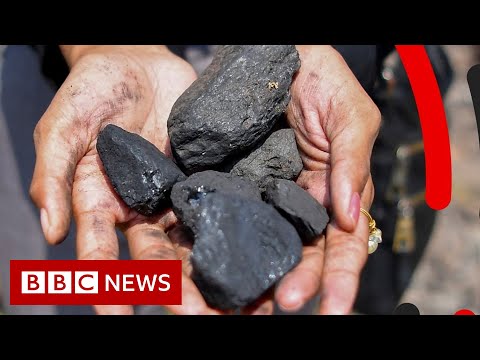 How can India tackle its climate challenge? – BBC News