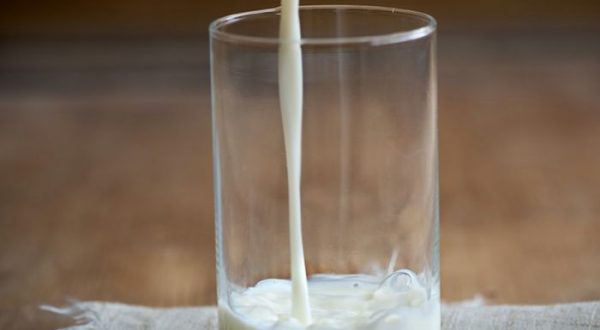 Latte, Patuanelli “Firmato accordo per sostegno a filiera”