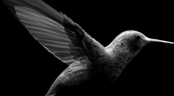 Cesare Cremonini torna con il nuovo singolo “Colibrì”