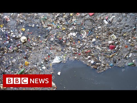 No English river is free from pollution, report finds – BBC News