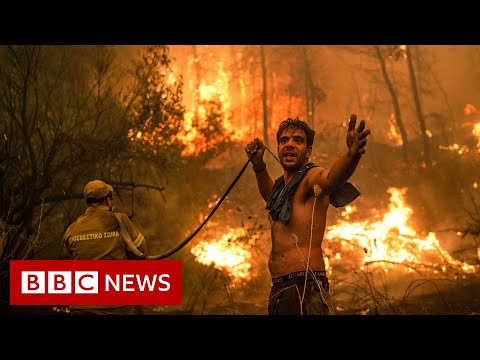 Past seven years hottest on record, EU satellite data shows – BBC News