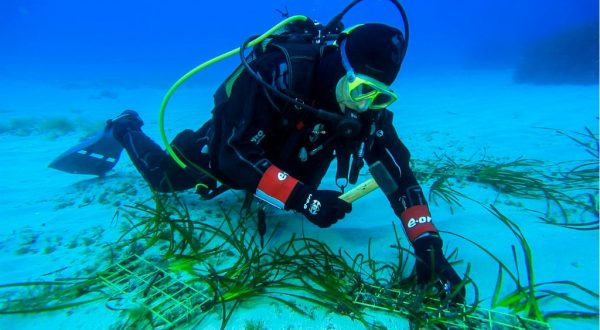 Tutela dei mari, al via il progetto “Save the wave” di E.ON e Ioc-Unesco