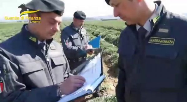 Livorno, scoperti centinaia di lavoratori sfruttati in agricoltura