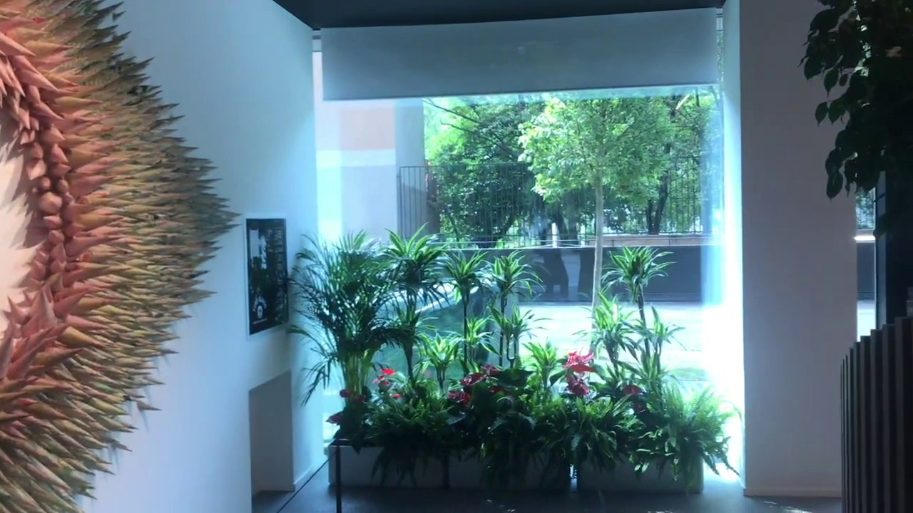 Un “polmone verde” per la nuova sede di Sisal