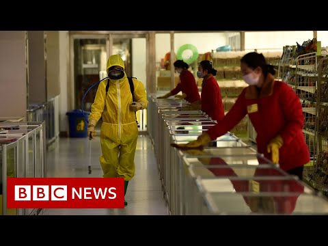 Million Covid cases feared in North Korea – BBC News