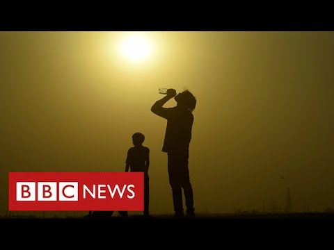 Deadly heatwaves “100 times more likely” due to climate change – BBC News