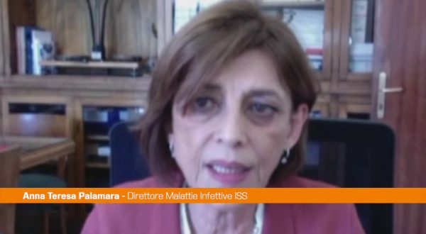 Covid, Palamara “Continua la diminuzione dell’incidenza”