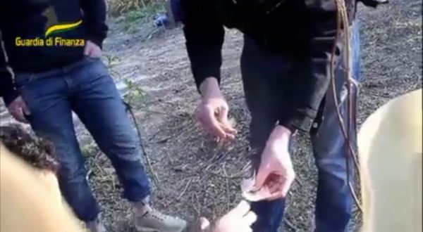 Spaccio droga a Rogoredo, sequestro a Lodi di 450 mila euro