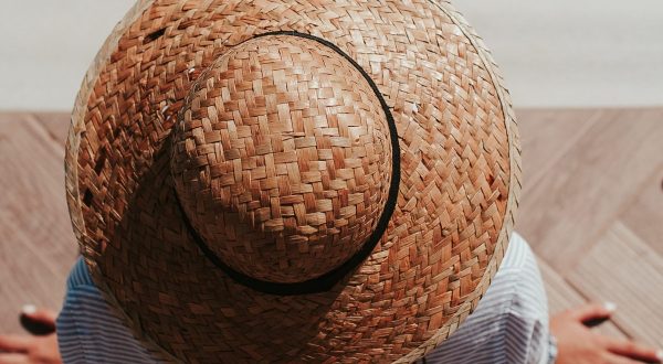 Estate fa rima con zanzare, oltre 70 specie in Italia