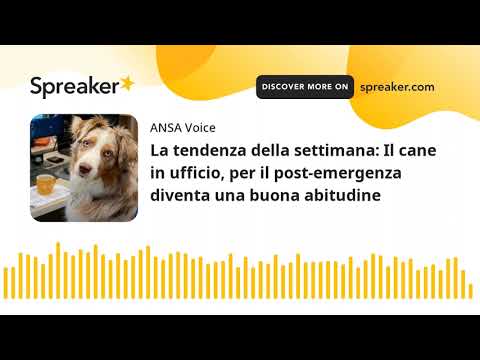 La tendenza della settimana: Il cane in ufficio, per il post-emergenza diventa una buona abitudine