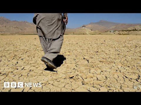 Pakistan faces hottest summer in decades – BBC News