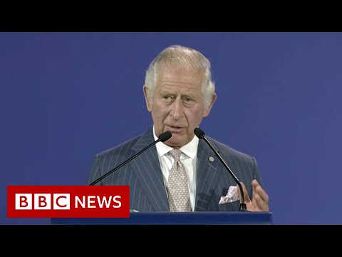 Diversity is Commonwealth’s strength, Prince Charles says in Rwanda speech – BBC News