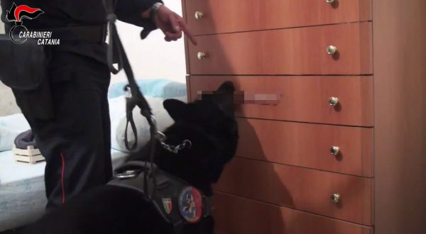 Operazione antidroga nel Catanese, 17 misure cautelari