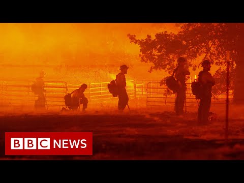 US consider declaring climate emergency as wildfires tear through California – BBC News