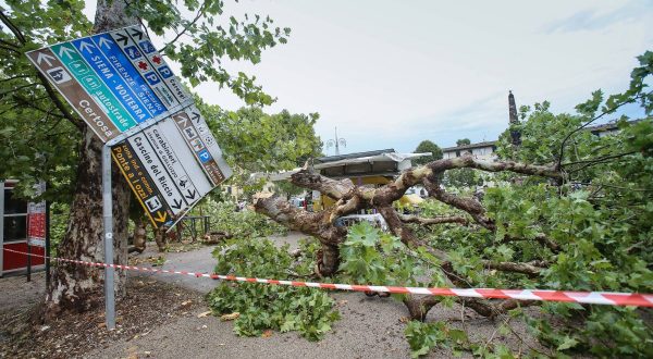 Maltempo, da Intesa Sanpaolo 1 mld a famiglie e imprese colpite