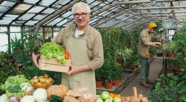 Il mercato della frutta sconta gli aumenti di energia e materie prime