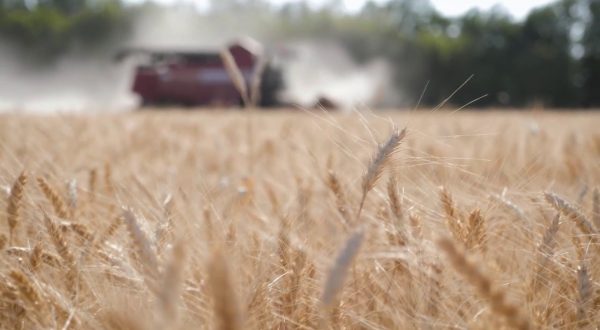 Agroalimentare, nel primo trimestre l’export supera i 6 mld