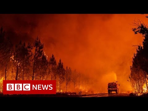 France wildfire forces thousands to flee – BBC News