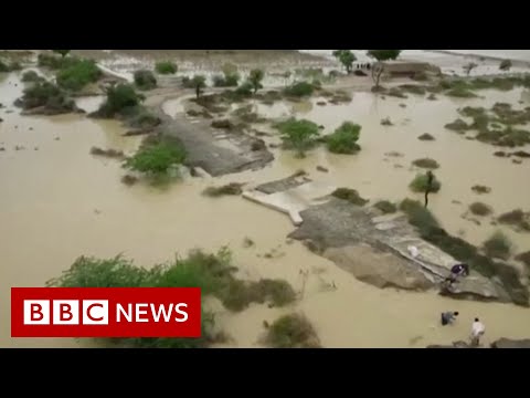 Pakistan flood victims struggle to access food and water as death toll rises – BBC News