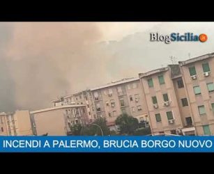 Incendi a Palermo, brucia Borgo Nuovo