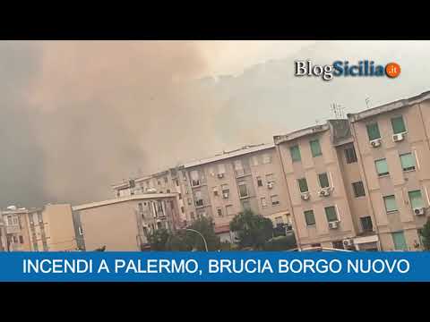 Incendi a Palermo, brucia Borgo Nuovo