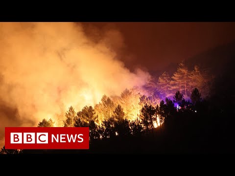 Spain wildfires force thousands out of their homes – BBC News