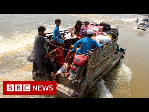Pakistan floods are ‘a climate catastrophe’ says UN – BBC News