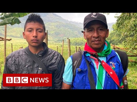 Colombia peace deal failing as violent gangs recruit vulnerable children - BBC News
