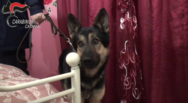 Colpo alla famiglia mafiosa Santapaola-Ercolano, 30 arresti