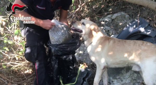“Casa dello spaccio” a conduzione familiare scoperta nel ragusano