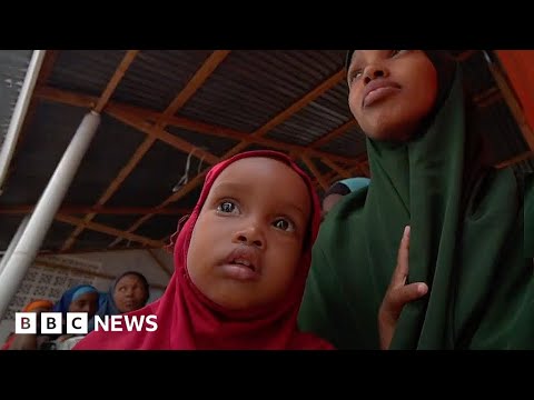 Millions go hungry in Somalia’s worst drought crisis for decades – BBC News