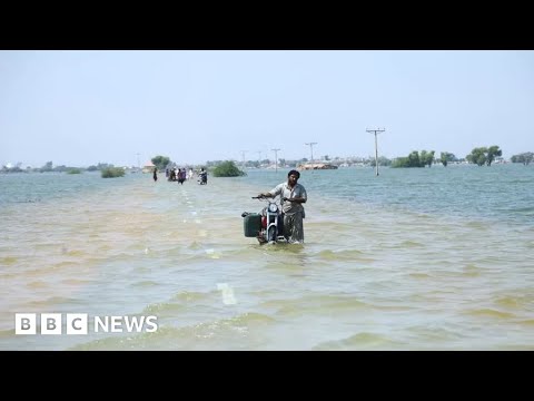 Pakistan floods: UN issues urgent appeal over ‘public health emergency’ – BBC News