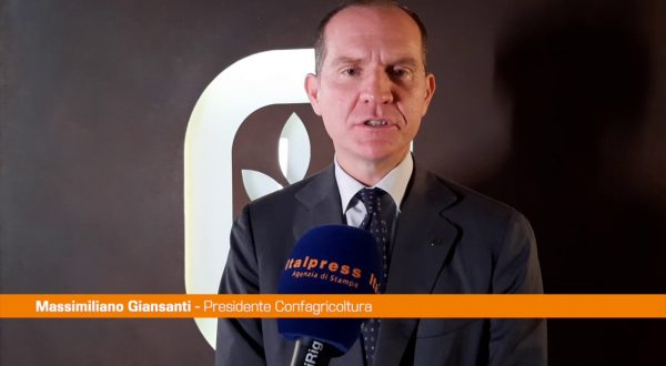 Agricoltura, Giansanti “Coniugare sostenibilità e produttività”