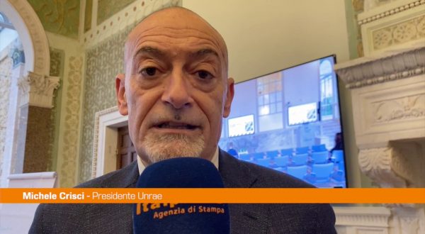 Auto, Crisci “In Italia serve riconversione industriale”