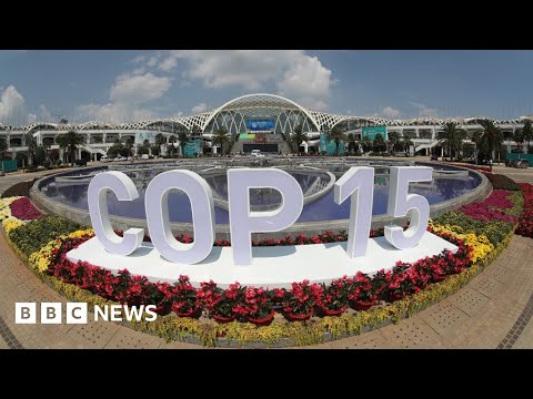 COP15 UN biodiversity summit opens in Canada – BBC News