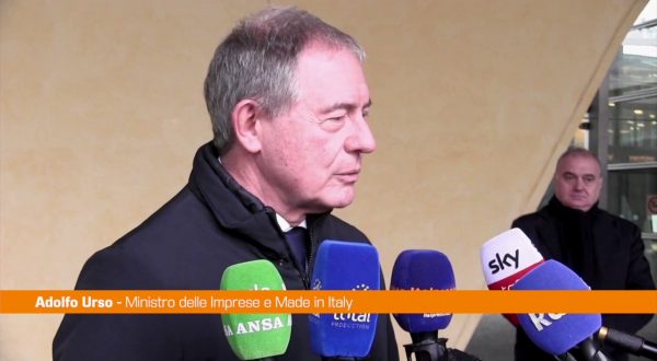 Tlc, Urso “La rete sia pubblica nel rispetto del mercato”