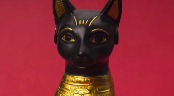 I gatti e l’antico Egitto, una Tac alla mummia per conoscere i segreti