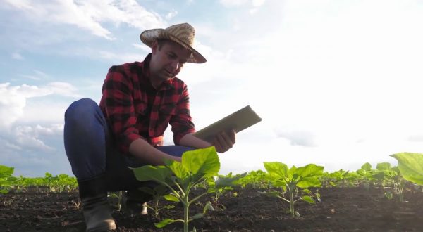 Agroalimentare, Pil in aumento nel terzo trimestre 2022