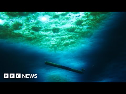 Warming ocean melting weak spots into vast Antarctic glacier – BBC News