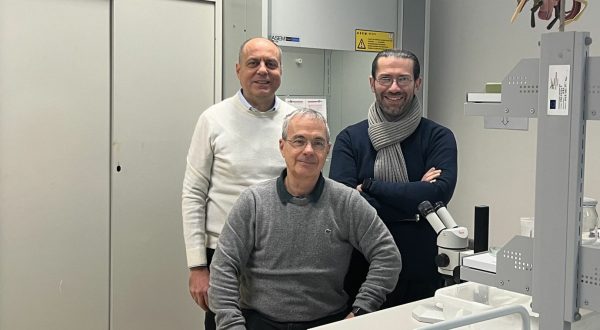 Università Palermo, studio sull’ecologia chimica pubblicato su Annual Review of Entomology